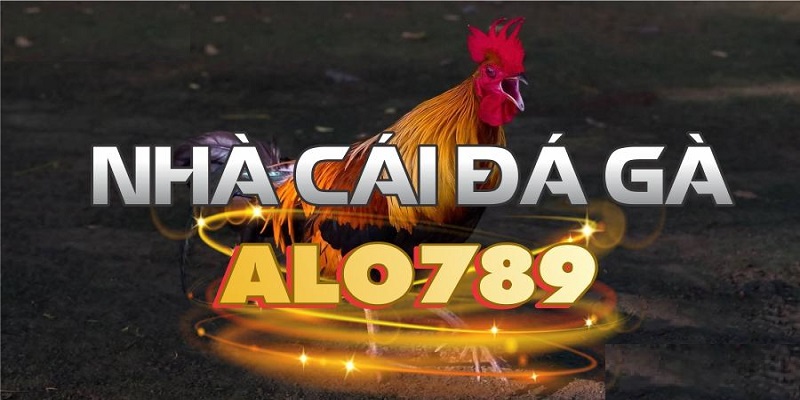 Giới thiệu sơ lược về Alo789 đá gà